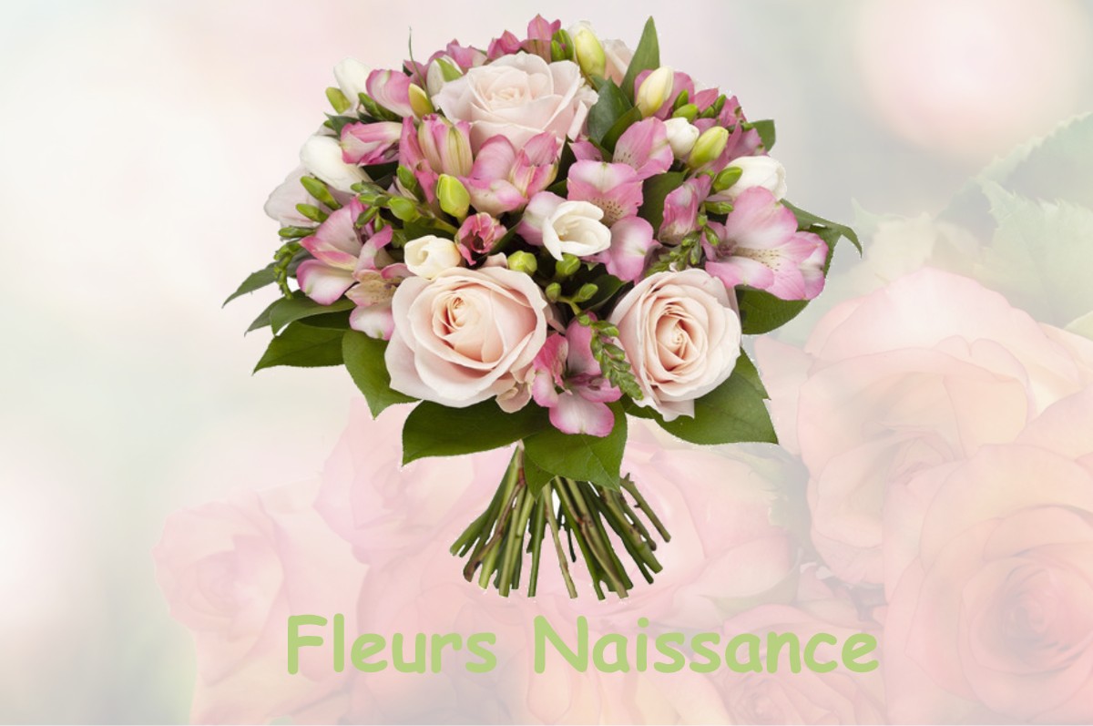 fleurs naissance SAINT-BENOIT-DE-CARMAUX