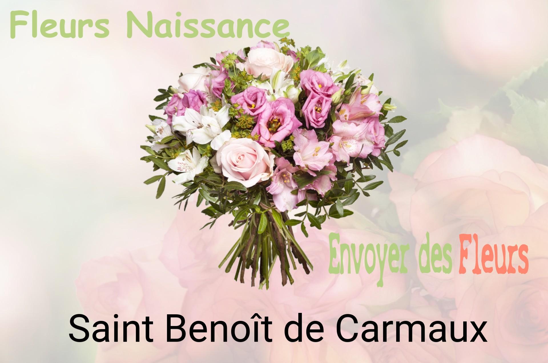 Bouquet de fleurs de naissance livré à Saint-Benoît-de-Carmaux